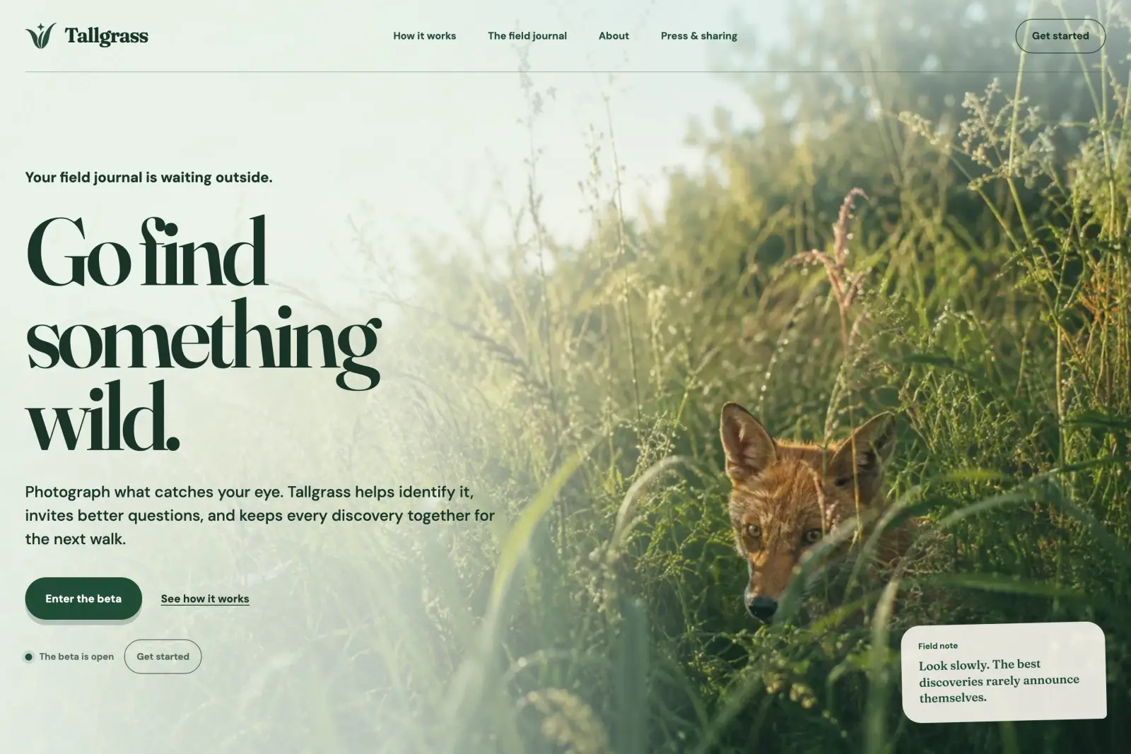 The Tallgrass homepage: Go find something wild, over a fox in tall grass