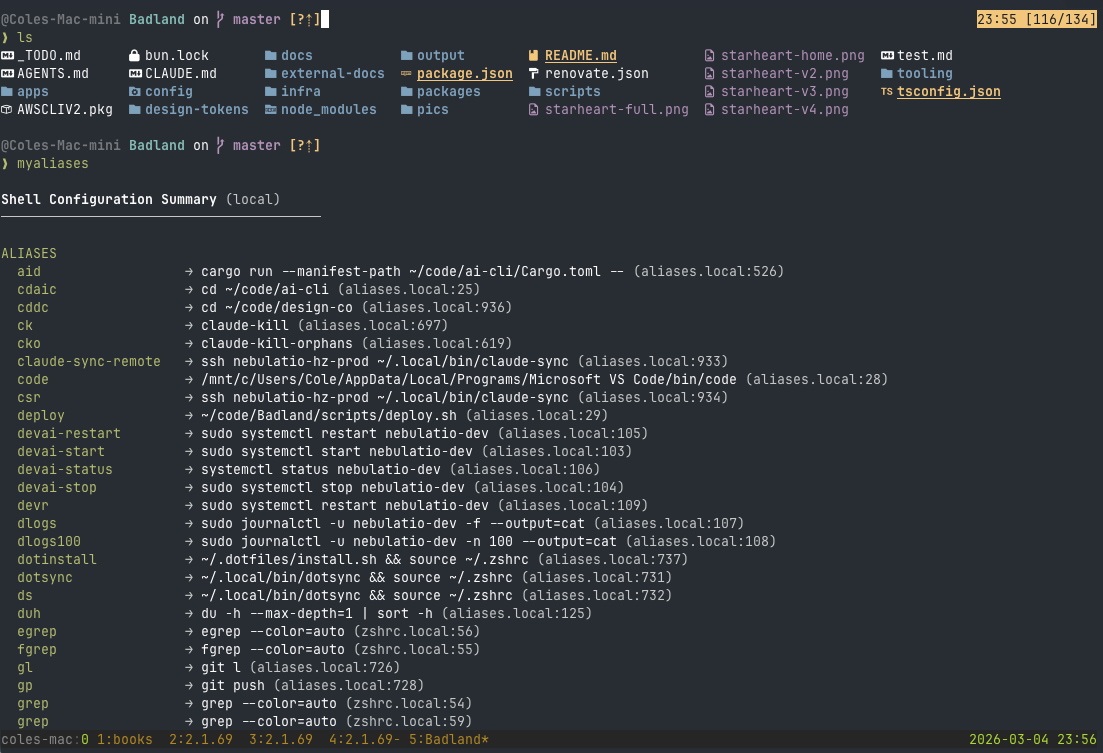 Developer Environment